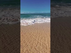 أرض اللعب منطقة اللعب الكهربائية التلفزيون اللاسلكي الدراجة البخارية الدبابة ETV ثلجية ATV